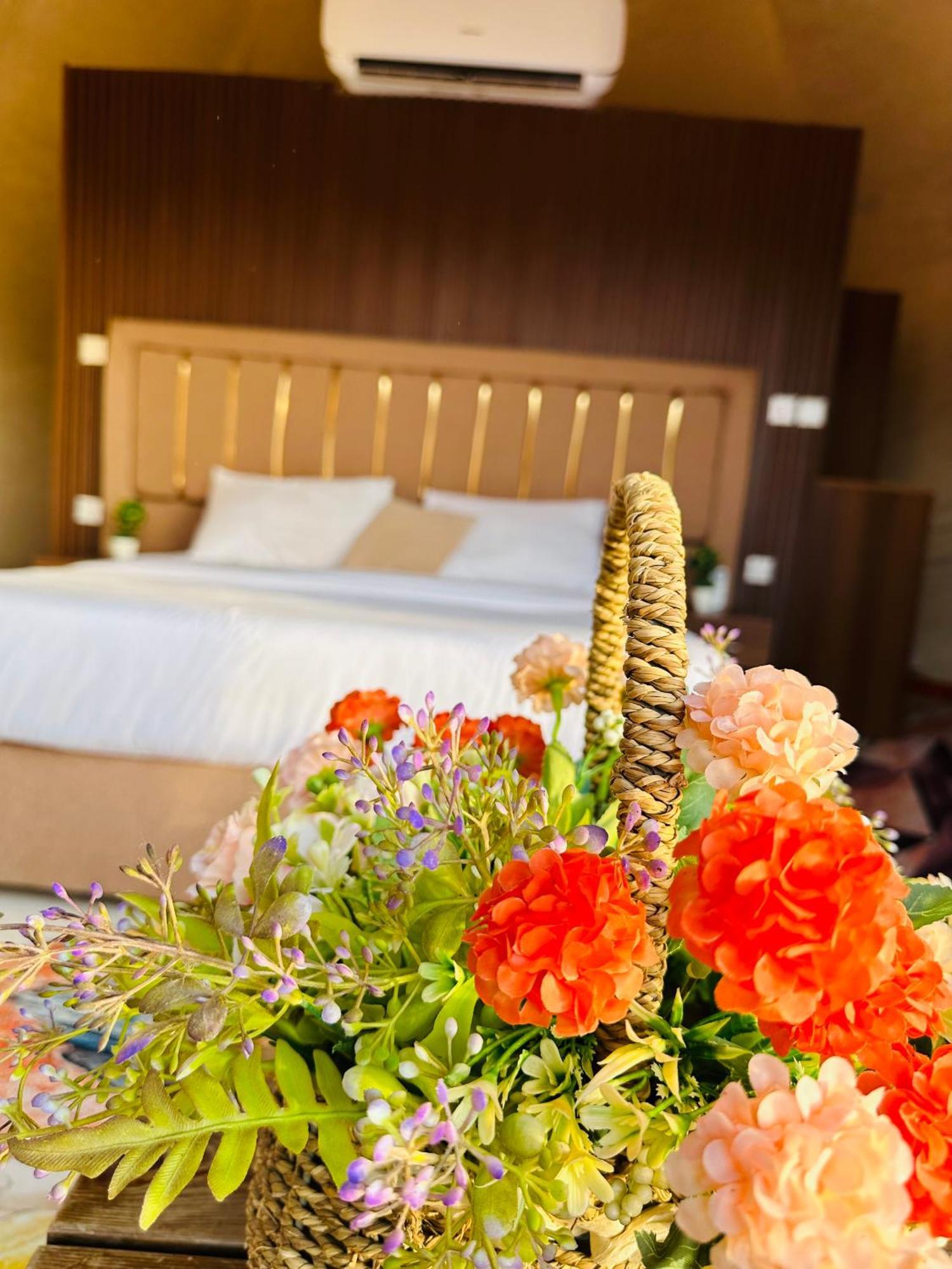 Relaxation Luxury Camp